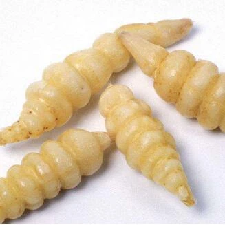 (QIV8D$C{M2W~AKKBN2KEGM (QIV8D$C{M2W~AKKBN2KEGM