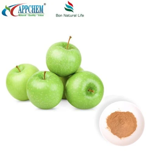 আপেল এক্সট্র্যাক্ট Procyanidin B2 পাউডার স্টকে