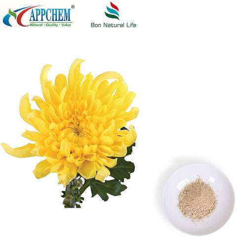 Flos Chrysanthemi এক্সট্র্যাক্ট পাউডার