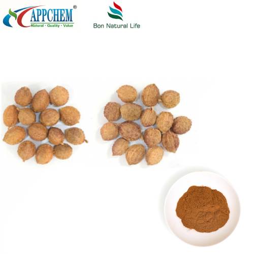 Fructus Amomi নির্যাস