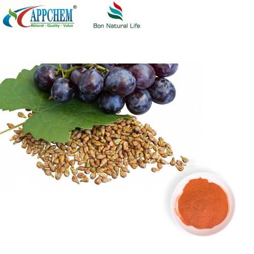 প্রমিত আঙ্গুর বীজ নির্যাস পাউডার