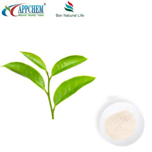 গ্রিন টি নির্যাস এল-থেনাইন