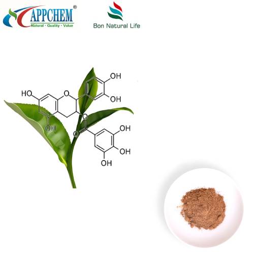 গ্রিন টি এক্সট্র্যাক্ট পলিফেনল