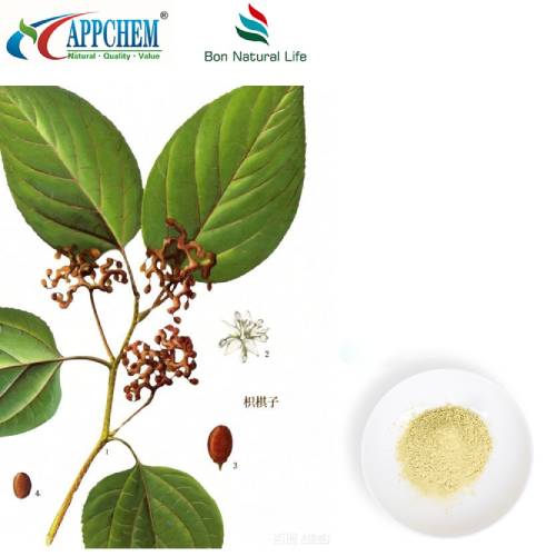 হোভেনিয়া ডুলসিস এক্সট্র্যাক্ট পাউডার