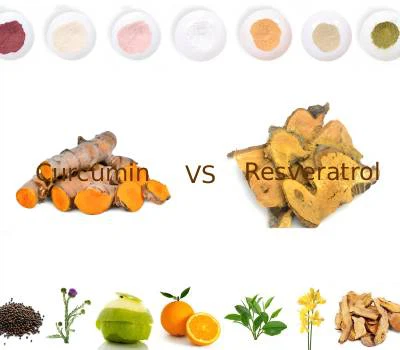 Curcumin বনাম Resveratrol: কোন পলিফেনল বৃহত্তর কার্যকরী মান প্রদান করে?