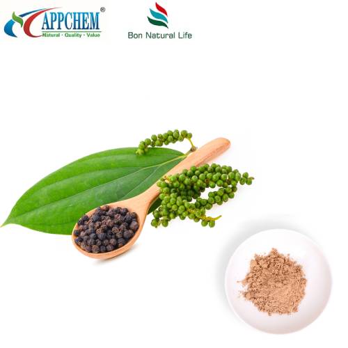 লিগুস্ট্রাম ফলের নির্যাস পাউডার