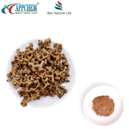 Semen Hoveniae Extract পাউডার