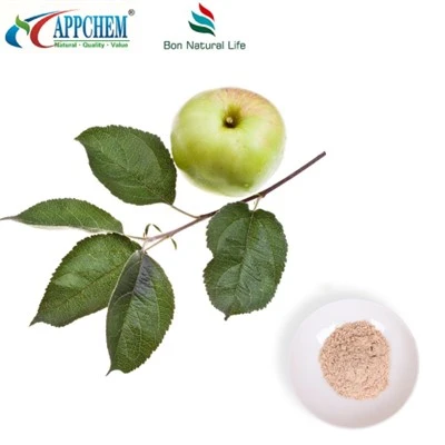 আপেল এক্সট্র্যাক্ট Phloretin বাল্ক সরবরাহ
