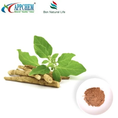 আশ্বাগন্ধ এক্সট্রাক্ট পাউডার (উইথানোলাইডস) উত্পাদন 30655-48-2