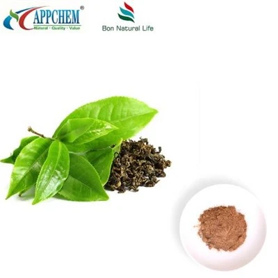 গ্রিন টি 95 পলিফেনলস পাউডার