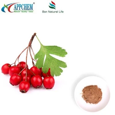 Hawthorn পাতা নির্যাস