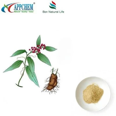ভারতীয় রুটির নির্যাস 50