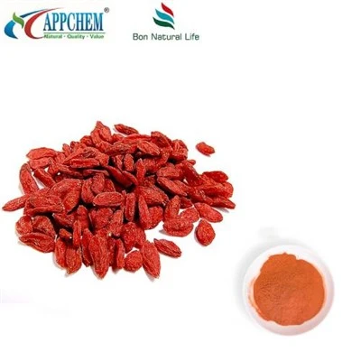 লাইসিয়াম বারবারাম নির্যাস