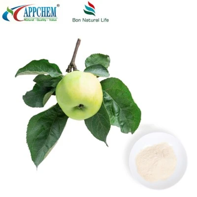 Phlorizin 60-82-1 রক্তের গ্লুকোজ ব্যবস্থাপনা উপাদান