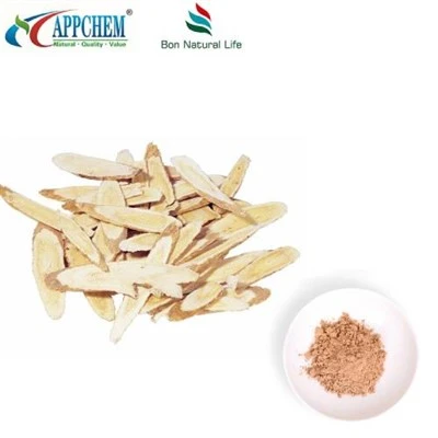 Radix Astragali Extract পাউডার